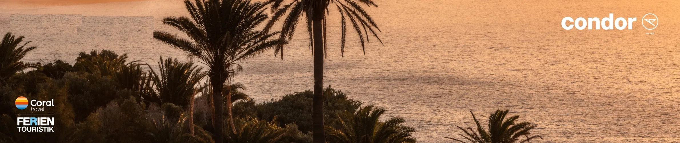 Strand auf Gran Canaria mit Palmen.